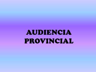 Audiencia20provincial2001.jpg