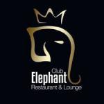 Barcelona Elephant