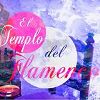 El Templo Del Flamenco.jpg